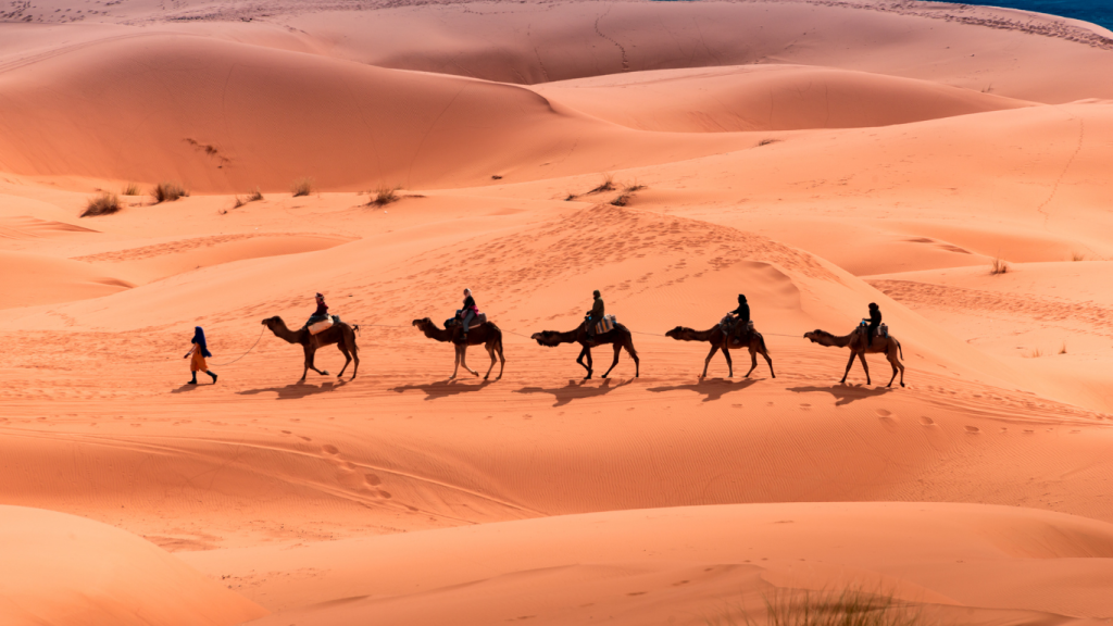 3 days Fes to Marrakech desert