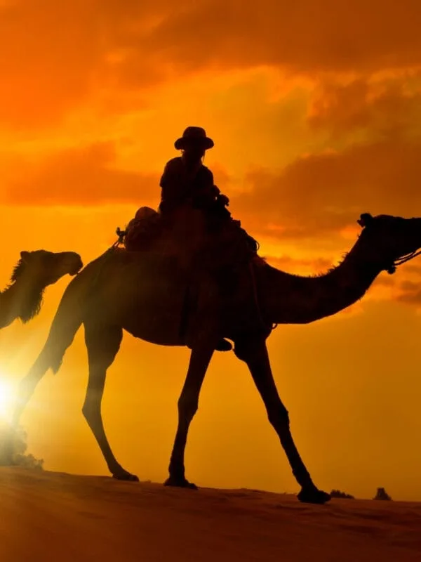 4-day Marrakech desert trip; Viagem de 4 dias de Marrakech