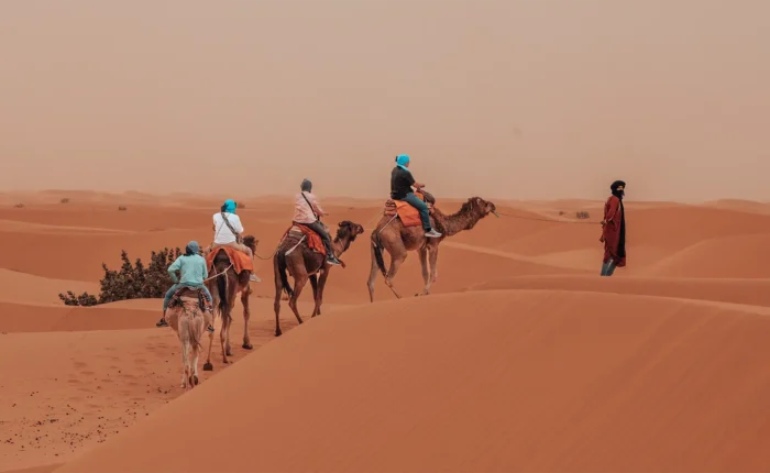 3 Days Tour from Marrakech; Viagem 3 dias de Marrakech