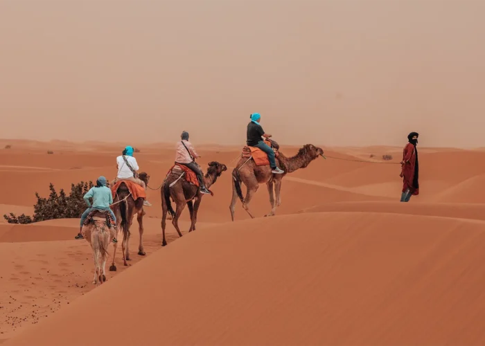 3 Days Tour from Marrakech; Viagem 3 dias de Marrakech