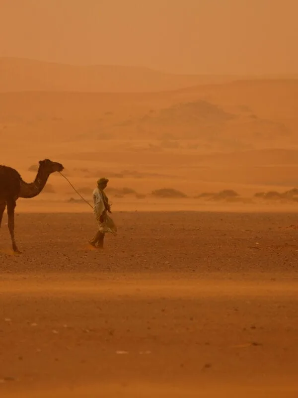 12 days tour from Casablanca; Morocco Grand Tour ; Viagem de 12 Dias