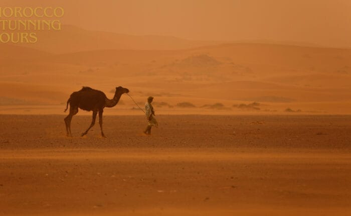 12 days tour from Casablanca; Morocco Grand Tour ; Viagem de 12 Dias