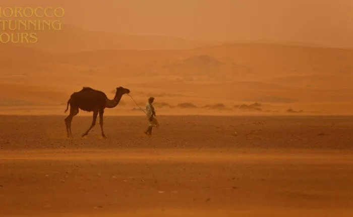 12 days tour from Casablanca; Morocco Grand Tour ; Viagem de 12 Dias