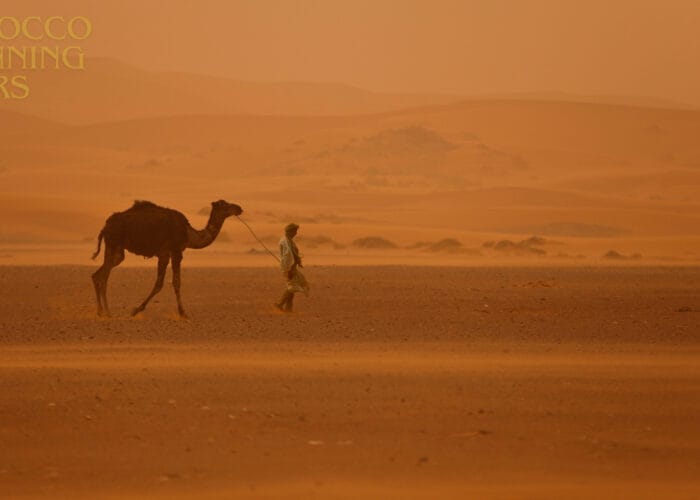 12 days tour from Casablanca; Morocco Grand Tour ; Viagem de 12 Dias