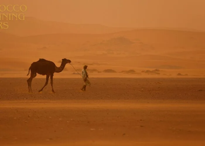 12 days tour from Casablanca; Morocco Grand Tour ; Viagem de 12 Dias