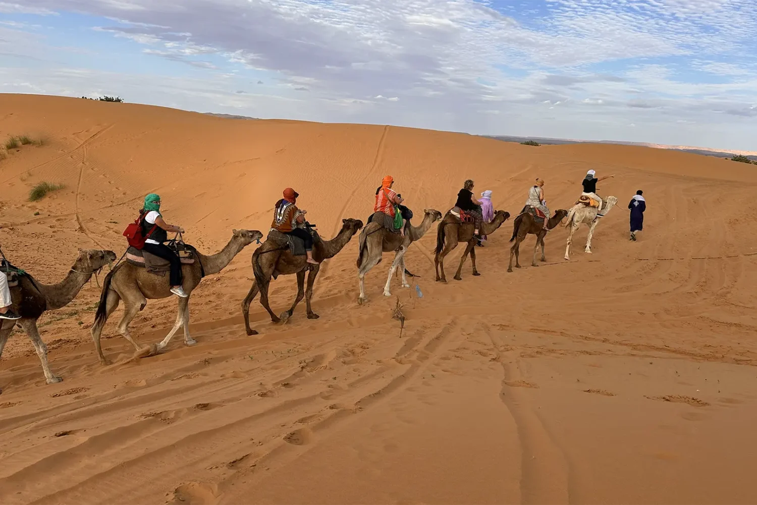 A traveler on a Morocco camel tour, trekking across the golden dunes of the Sahara desert at sunset.