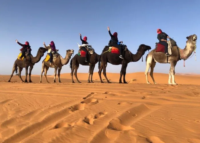 Best small group tours Morocco – happy group celebrating on camels in Merzouga Sahara Desert