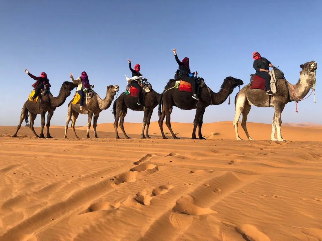 Best small group tours Morocco – happy group celebrating on camels in Merzouga Sahara Desert